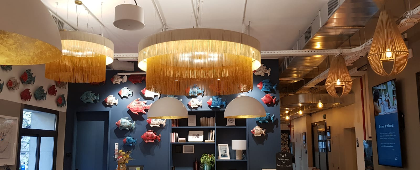 Iluminación Tienda -Iluminación Tienda 1